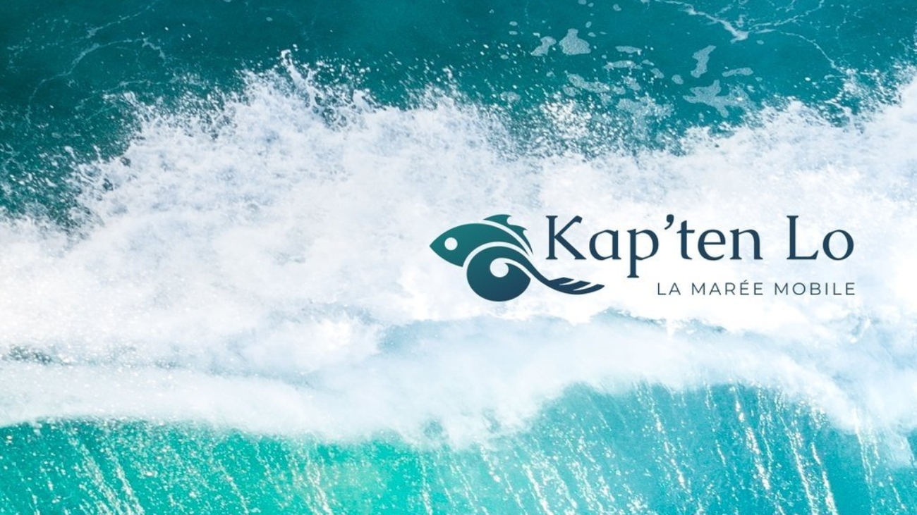 93aaa06fc277a4e825247e6fe6d719a7_copie-kapt