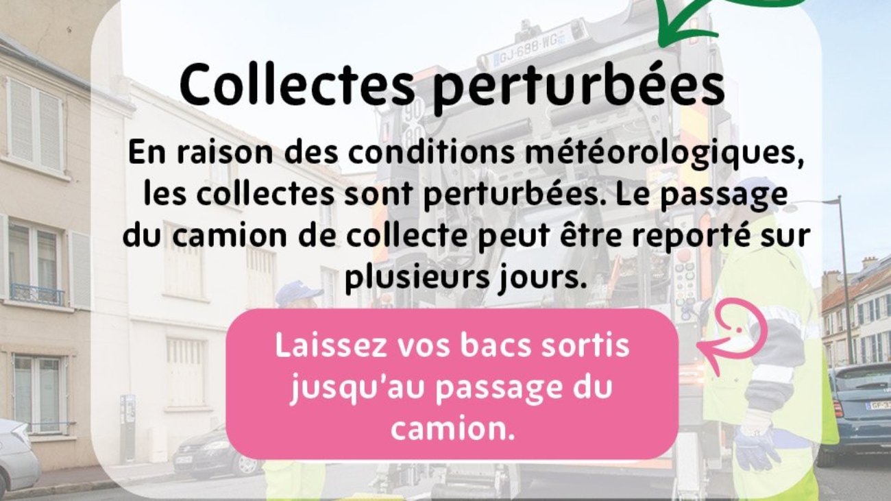 2d29692c93f2a118ee077c790bb1b36a_infos-coll