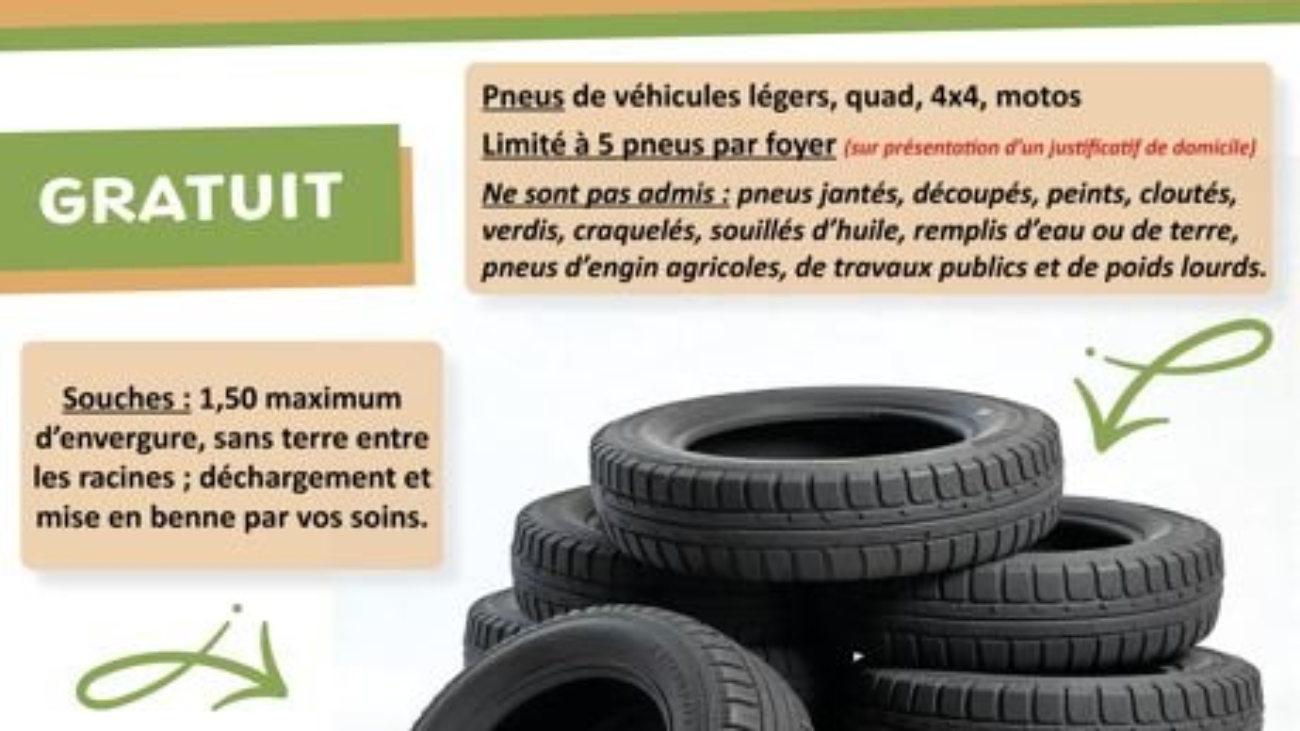 282dc43b2ff665451bf717682b467608_collecte-p