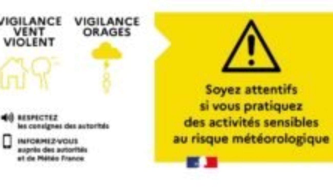 33a8d015d963f5bf8f47903ee8d95883_vigilance-